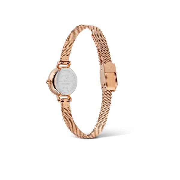 daniel wellington - petite mini champagne melrose